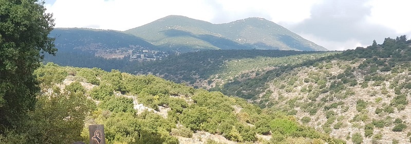 שמורת הטבע נחל עמוד