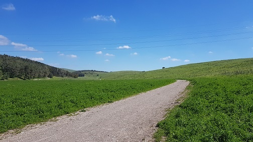 גבעת הרקפות רמות מנשה