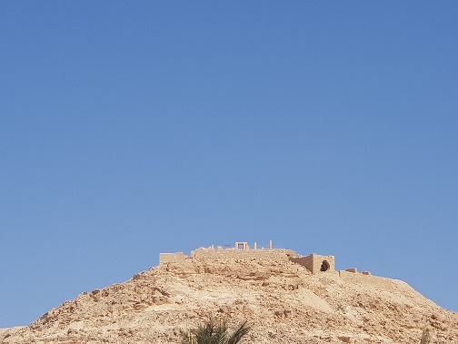 גן לאומי עבדת