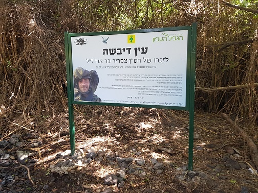 עין דיבשה