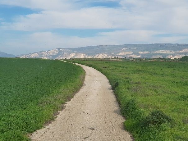 אי השלום פארק נהריים