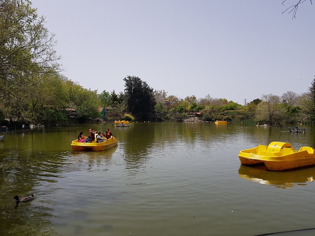 אגם חי יראון