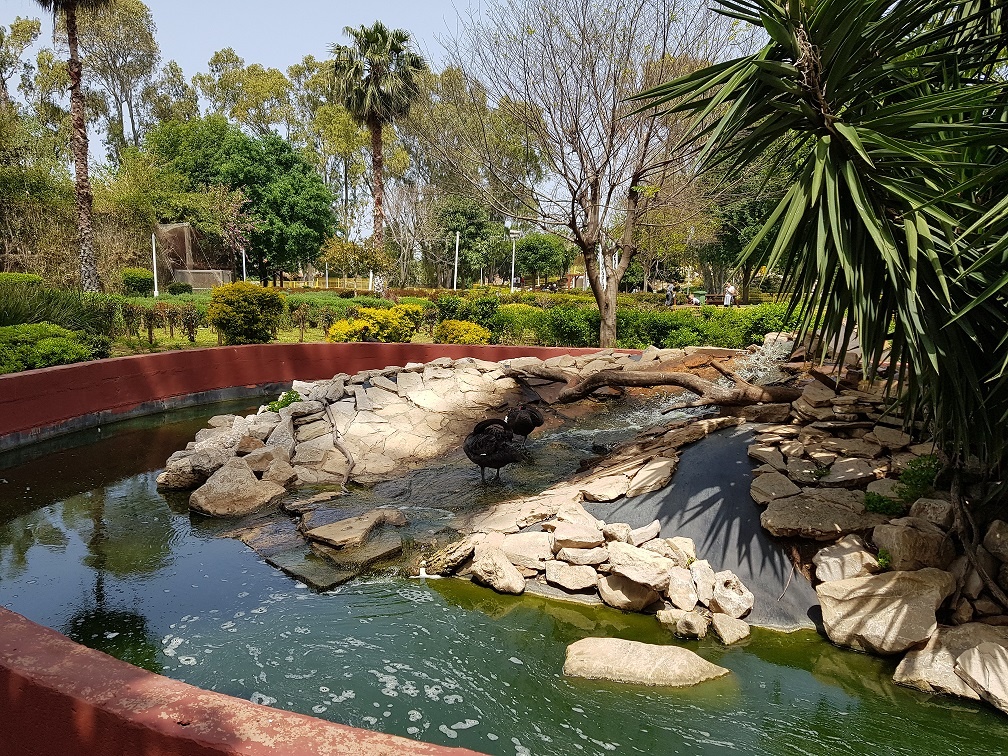 גן בוטני זואולוגי נהריה