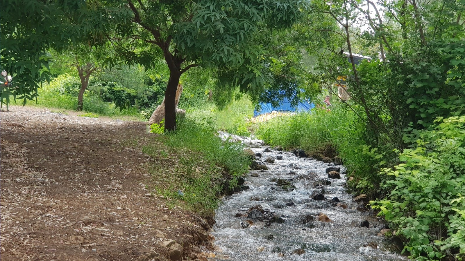 עין געתון וחרבת געתון