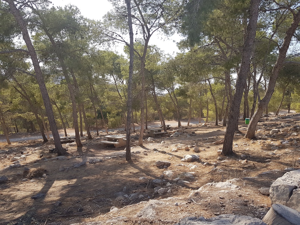 דרך נוף הגלבוע - כתף שאול וחוות הרוח