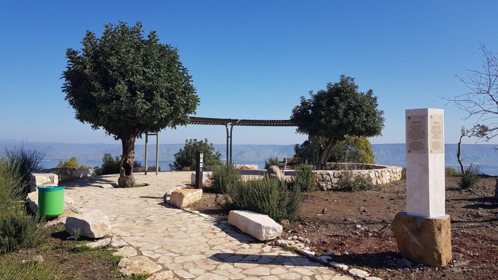 יער שוויץ – טיול בדרך נוף הכנרת