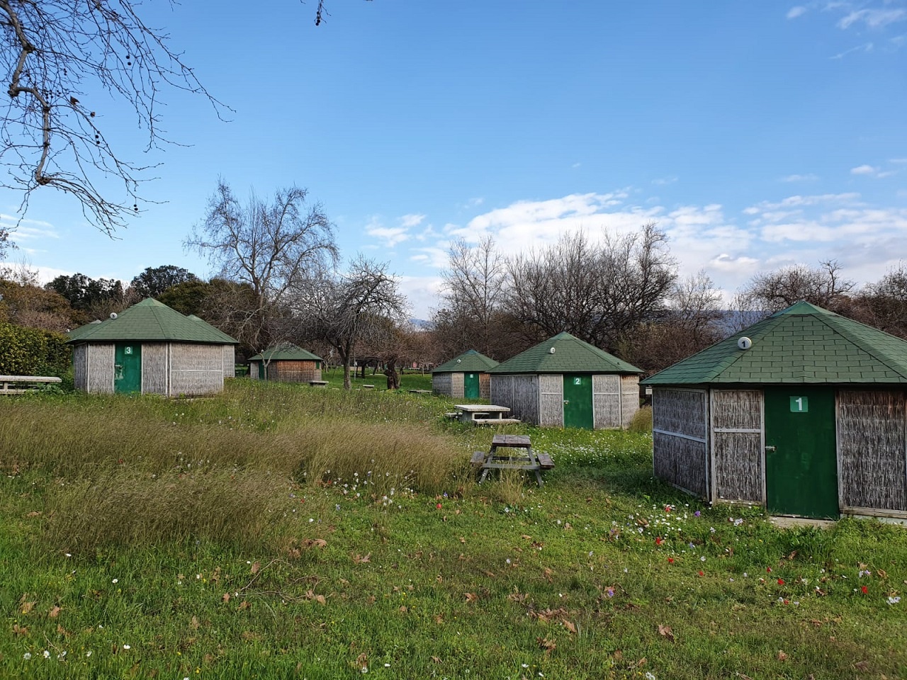 חורשת טל – פארק טבע עם פלגי מים וחניון לילה מסודר