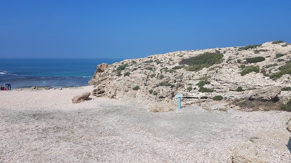 שמורת הטבע חוף דור הבונים - טיול ברצועת חוף מרהיבה