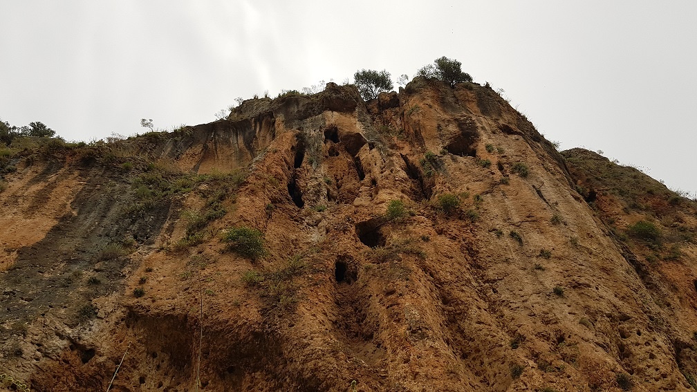 נחל עמוד תחתון - עין עמוד