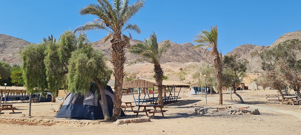 קמפינג בית ספר שדה אילת