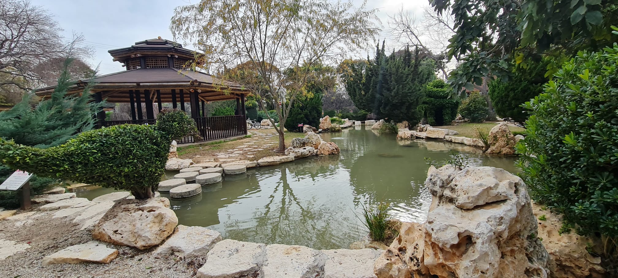 הגן היפני וגן הקקטוסים בחולון – פינות נוי ושלווה בלב העיר