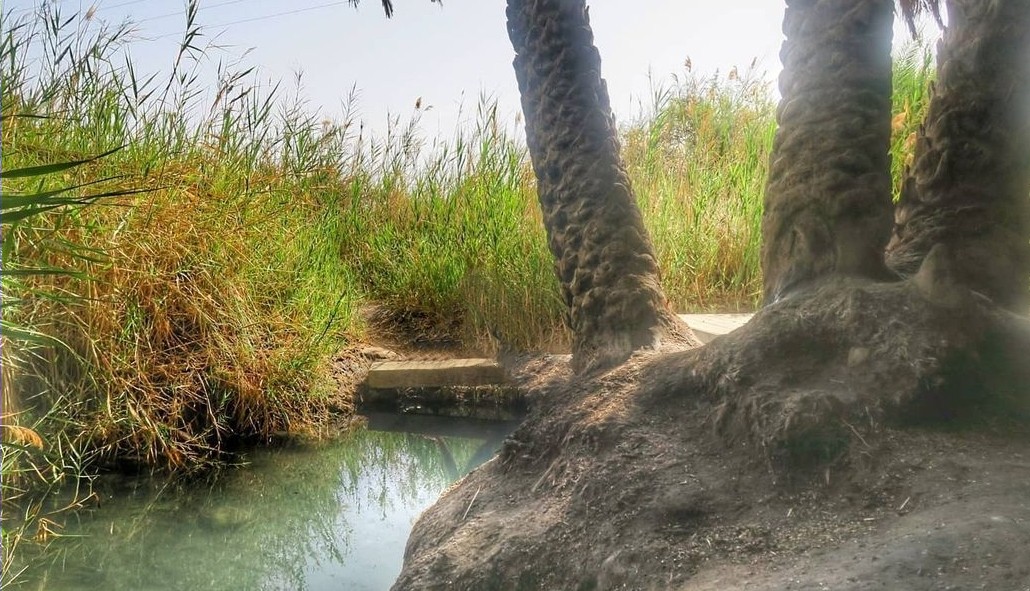 עין פלוטית המעיין הנסתר