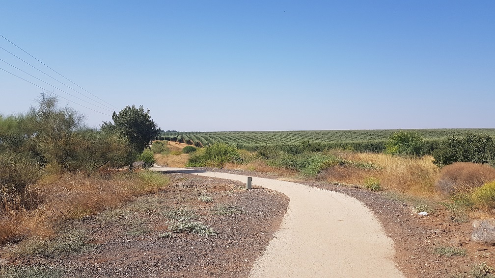 טיילת מצוקי האון ממצפה שלום למבוא חמה