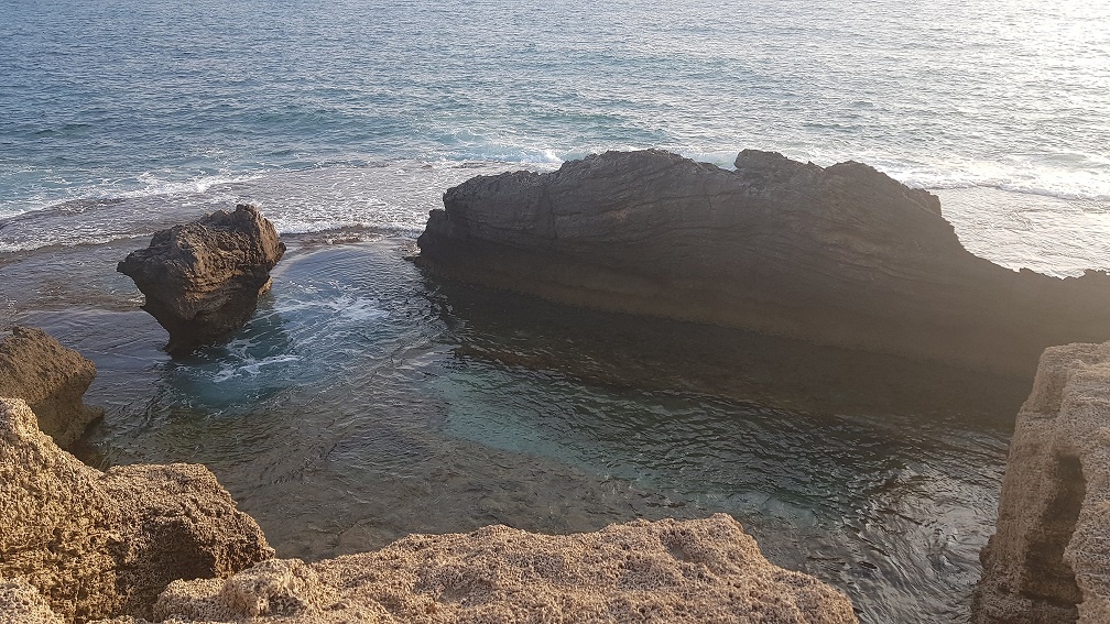 שמורת טבע וגן לאומי תל דור