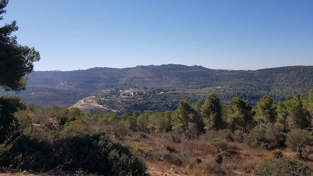 טיול מעגלי בסטף למשפחות