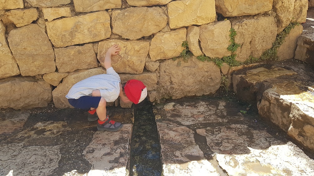 טיול מעגלי בסטף למשפחות