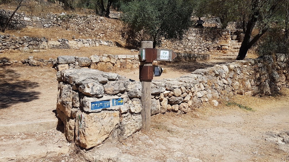 טיול מעגלי בסטף למשפחות