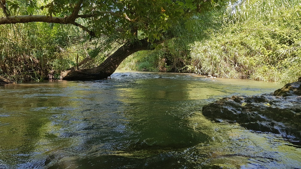 נחל חרמון תחתון - נבי יהודה