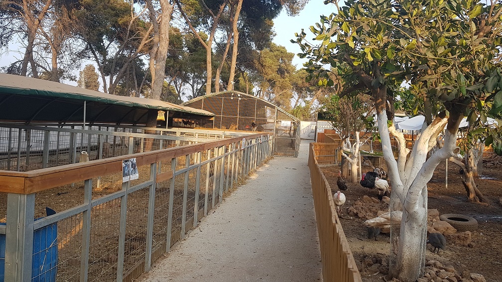 חוות הנדיב ברמת הנדיב – זכרון יעקב