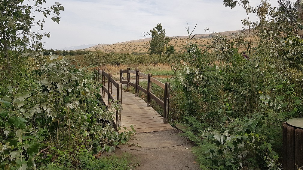 חניון אשמורה – חניון הדרדרה למרגלות הגולן