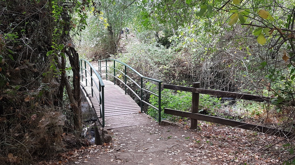 שמורת הטבע הבניאס נחל חרמון - מעיינות