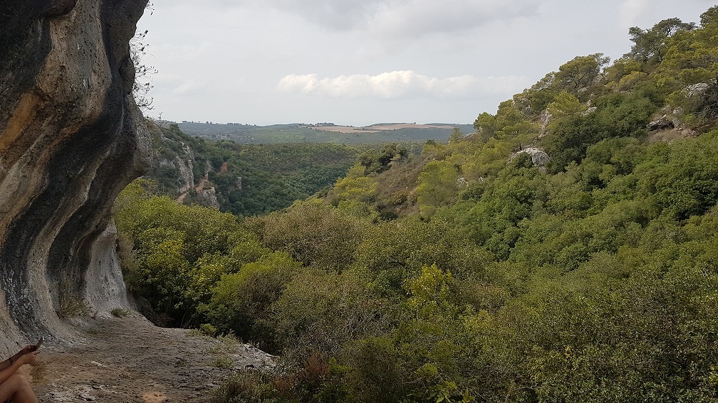 הצניר בנחל כלח – שוויצריה הקטנה פארק הכרמל