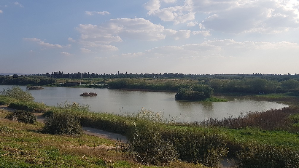 מצפור ויקר ואגמון חפר