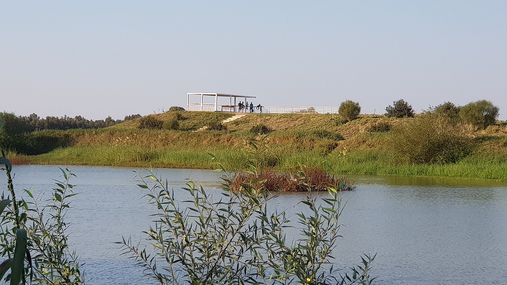 מצפור ויקר ואגמון חפר