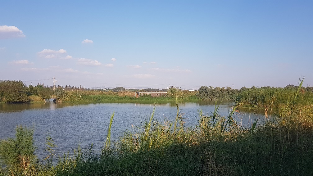 מצפור ויקר ואגמון חפר