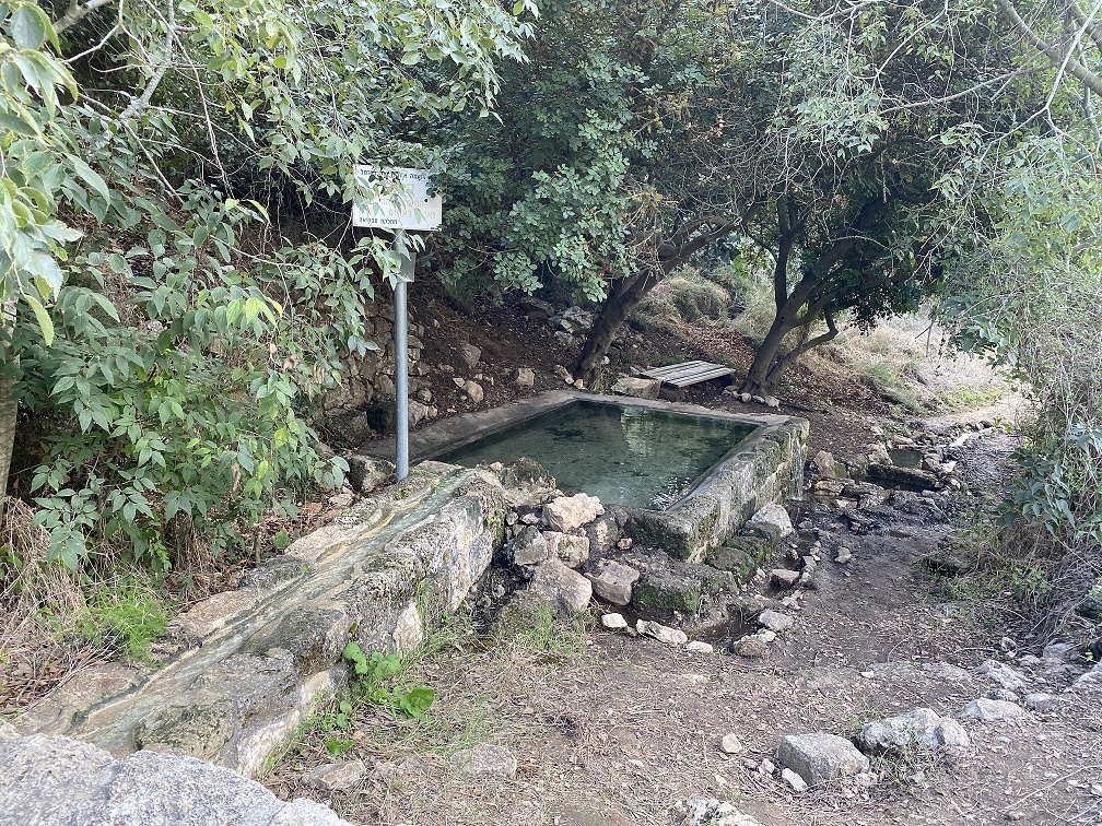 עין איילה וחורבת שמרי בנחל שמרי - שביל שלוחת איילה יער עופר