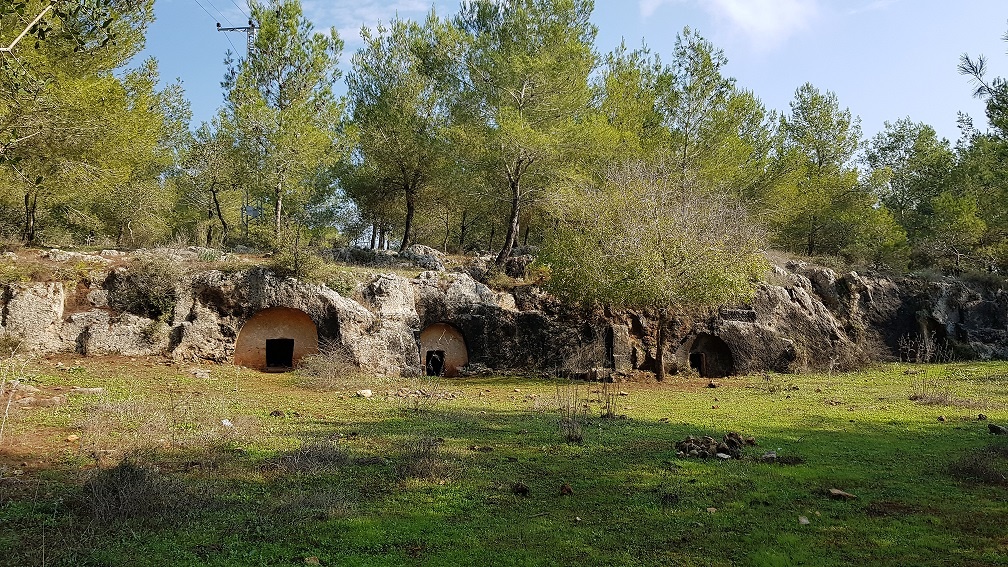 יער קרן הכרמל – שביל המערות וחורבת חרמש