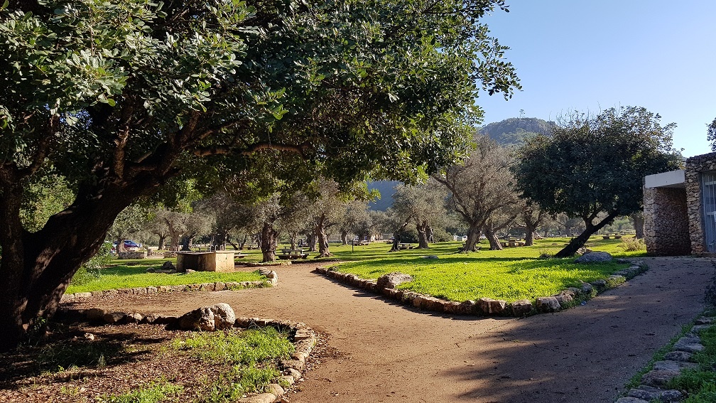 חניון פתחת נחל אורן