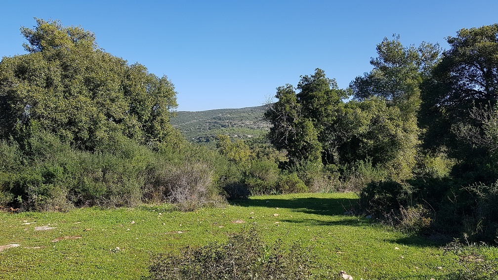 מסלול לחורבת רקית ותצפית הר שוקף – גן לאומי פארק הכרמל