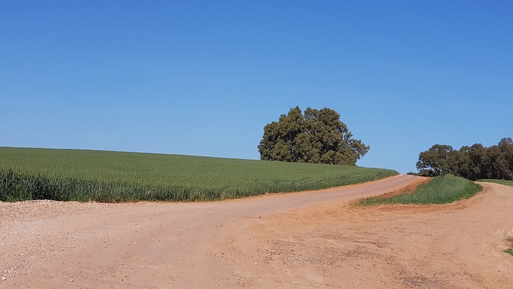 שמורת הטבע פורה וסובב מאגר פורה - טיול נוף ופריחה