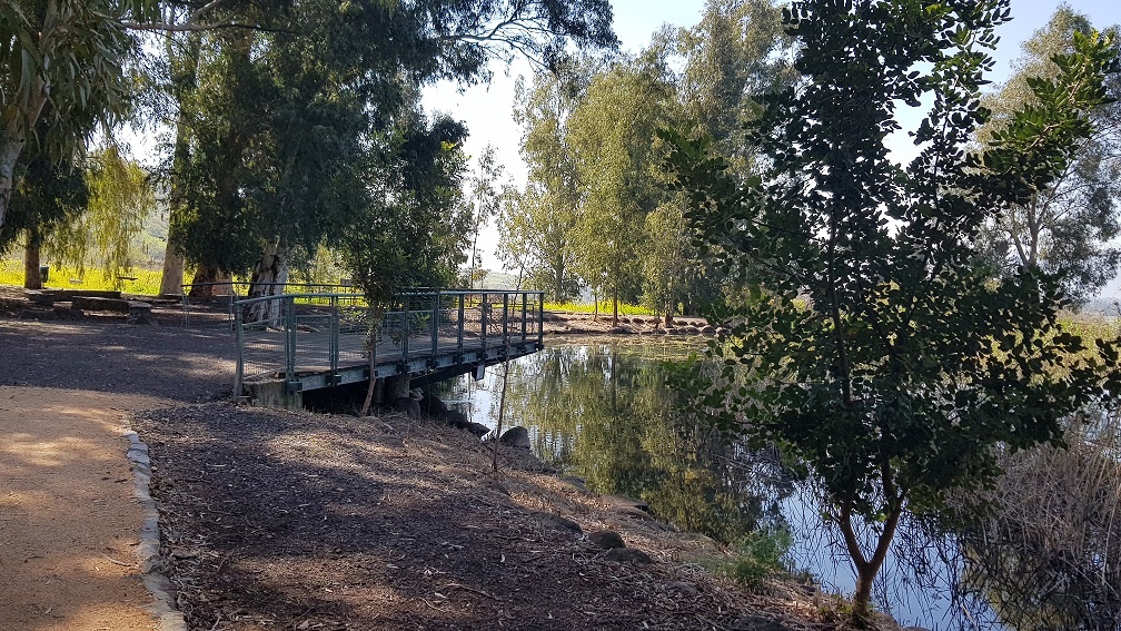 גן הפסלים והאגם הנעלם בכפר סאלד – מקום לעצירה קצרה