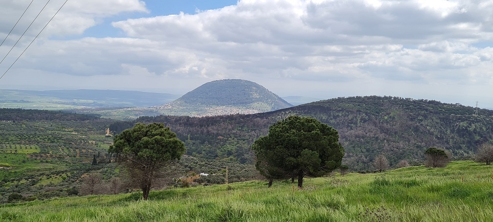 שמורת הטבע אירוס נצרתי – נצרת עלית נוף הגליל