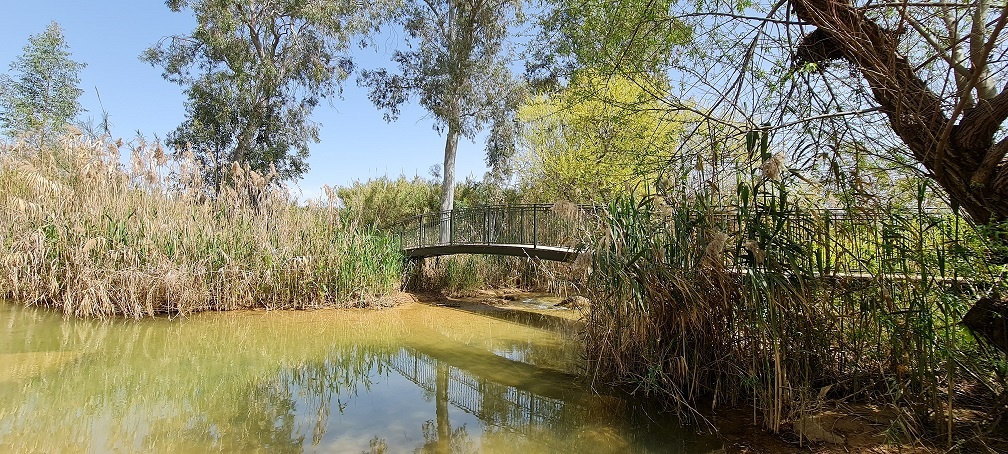 בריכת המנחת פארק המטוס - נחל עיון