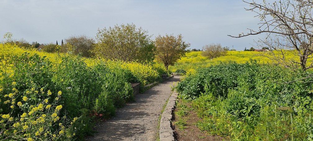 כפר פיק עין פיק רמת הגולן