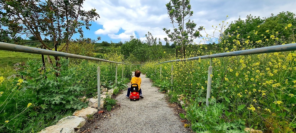 שביל האנרגיות המתחדשות ביער חגית – יער לקוחות חברת החשמל