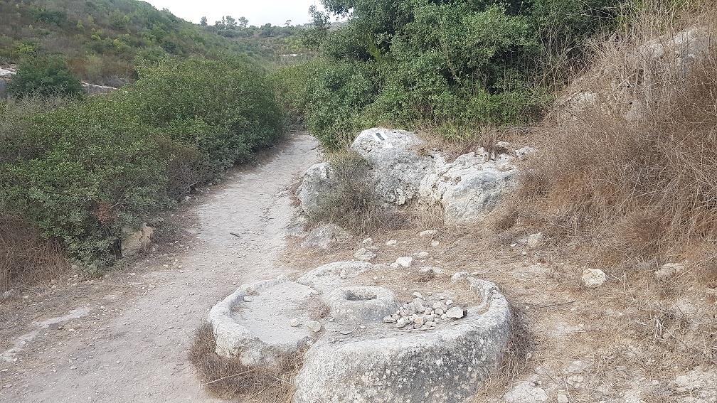 מחצבות קדומים אנדרטת אסון הכרמל חוות משמר הכרמל