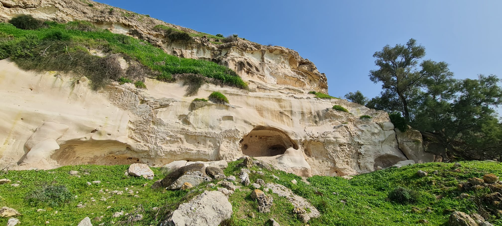 גן לאומי תל צפית