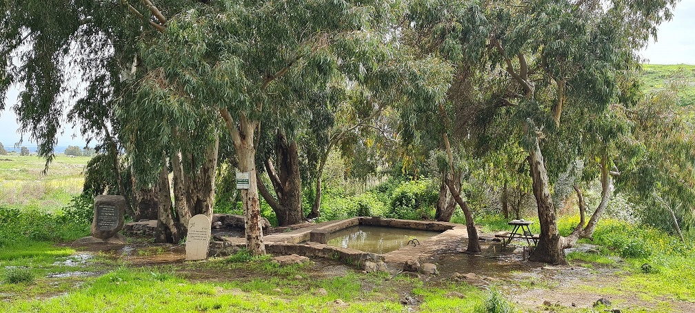 עין אורחה עין ג'וחדר התל וחאן ג'וחדר ברמת הגולן