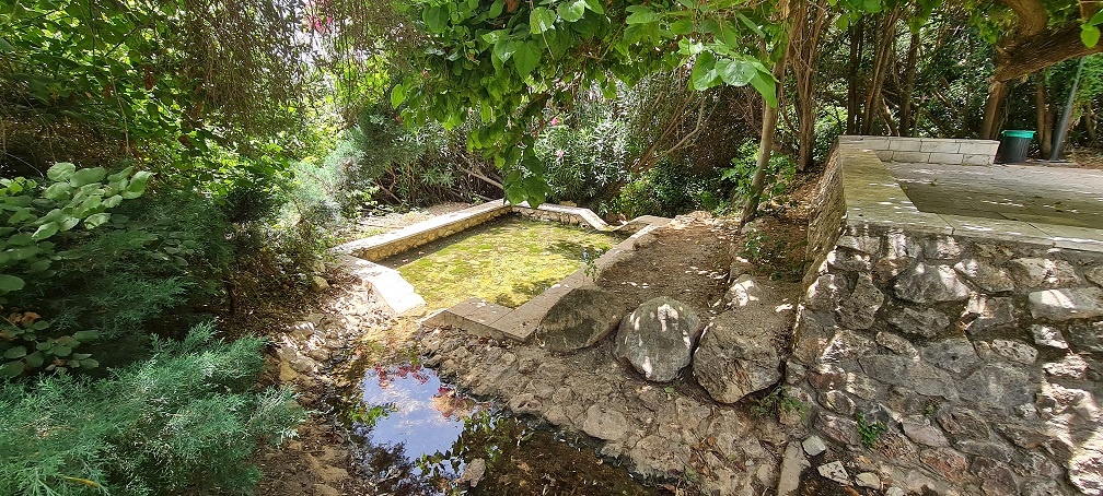 פארק מעיין המושבה במטולה