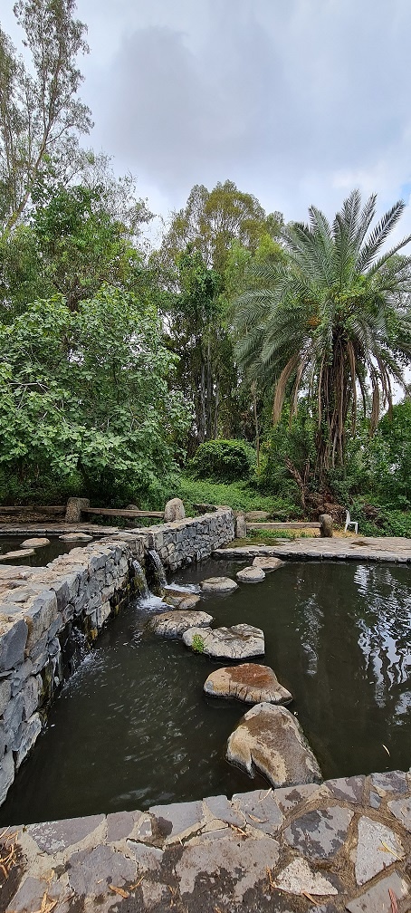 עיינות עדן עין סלוקיה מעיינות עדן