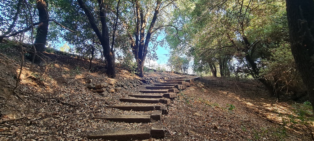 שמורת הטבע מערת פער