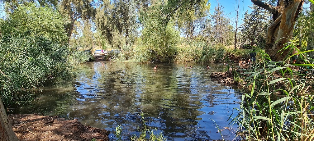 עין צנובר גן ראובן