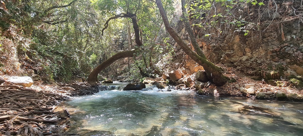 נחל חרמון הבניאס תיכון מסלול מקיבוץ שניר לשאר ישוב