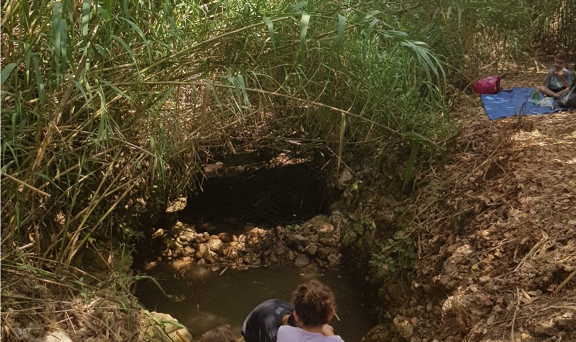 עין תרמילאים – נחל זכרונה