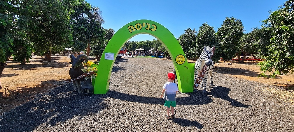 רוי בוי הפארק – טבע, חיות, אטרקציות ומופע של רוי בוי
