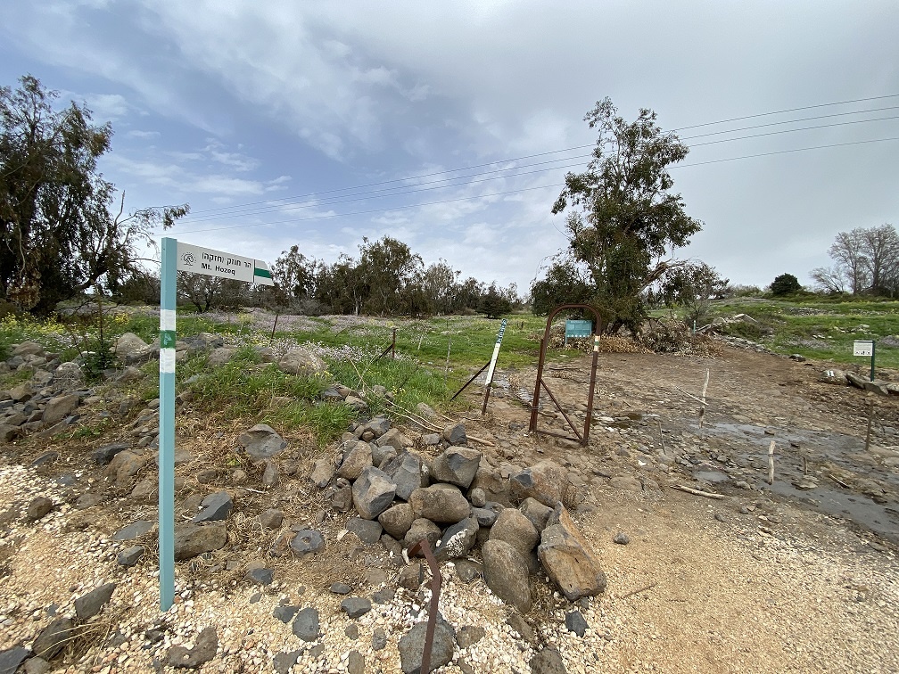 הר חוזק בשמורת רכס בשנית – טיול פריחה של סתיו ברמת הגולן